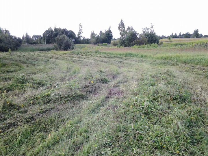 Участок 13 га (СНТ, ДНП)
