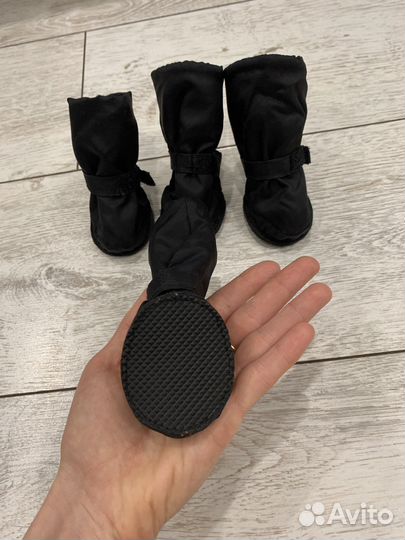 Обувь для маленьких собак