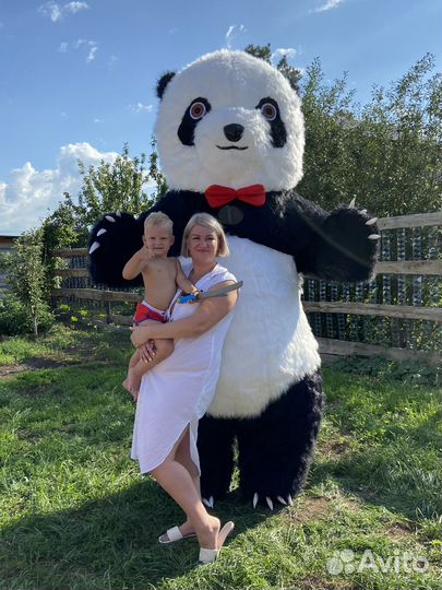 Ростовая кукла Панда 2,6 м, медведь поздравление
