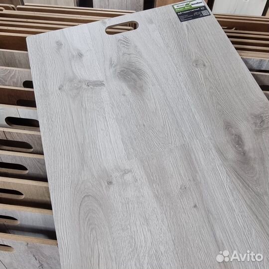 Ламинат 8 мм Дуб Гордон Светлый