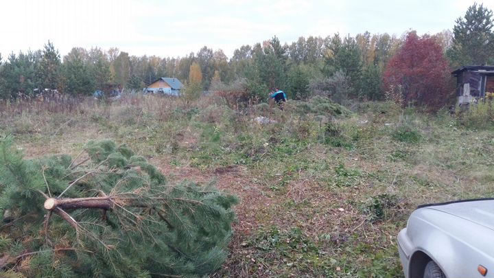 Участок 20 сот. (СНТ, ДНП)