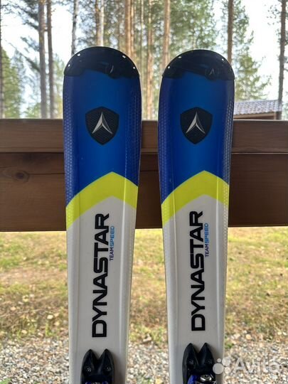 Горные лыжи dynastar 110