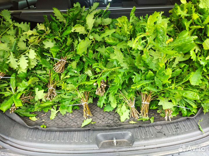 Дубовые веники