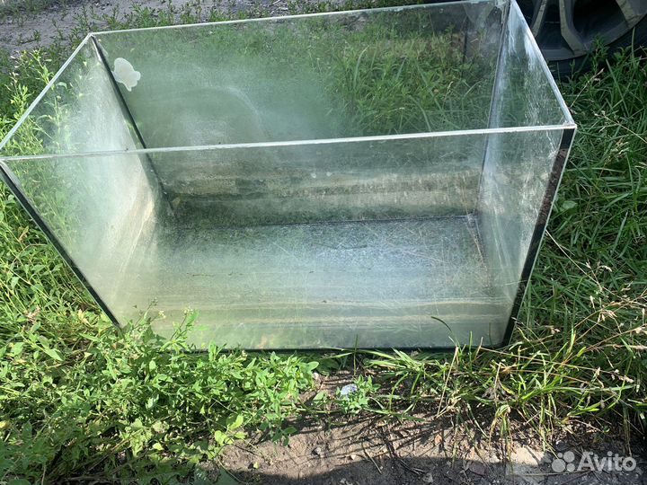 Аквариум. Даром