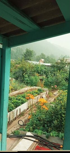 Дача 10 м² на участке 6 сот.