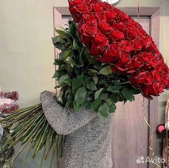 Розы Высокие 150см 160см 170см 180см 190см 2м