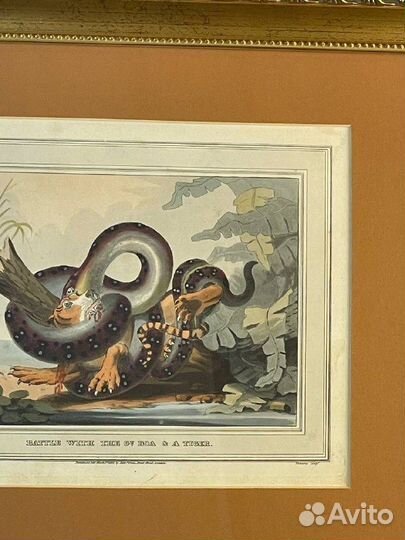 Антикварная гравюра