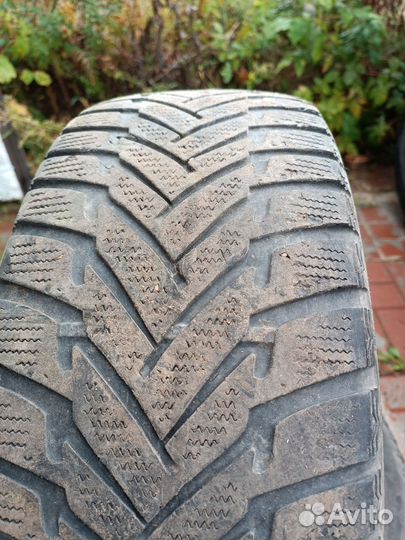 Dunlop Winter Maxx 205/50 R17