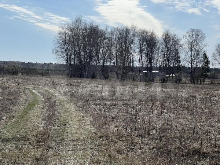 Участок 6 га (СНТ, ДНП)