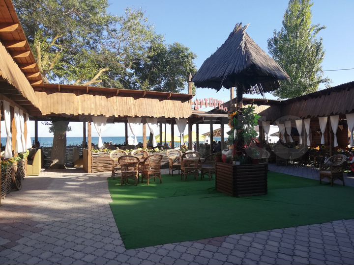 Общепит, 470 м²