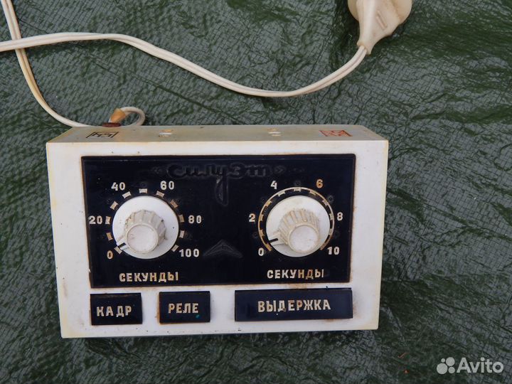 Фотовспышка чайка