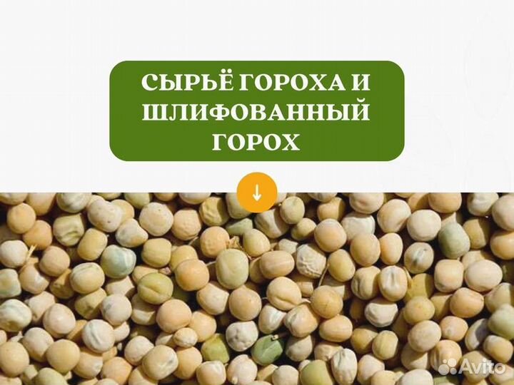 Горох с поля (сырье) (кг)