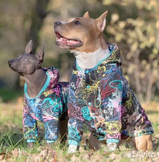 Толстовка для собак