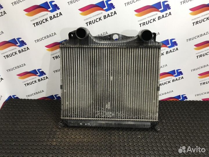 Интеркулер Man TGA, Man TGX