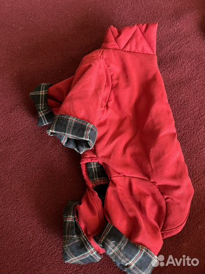 Одежда для маленьких собак