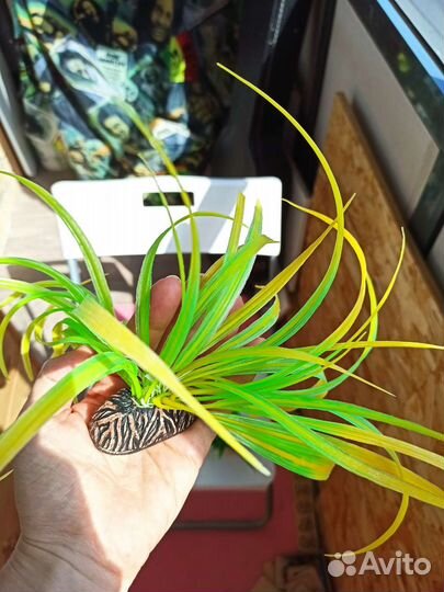 Искусственные растения для аквариума