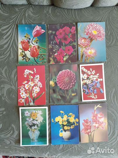 Открытки 