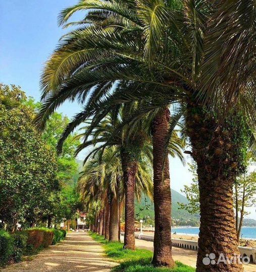 Джип тур Абхазия