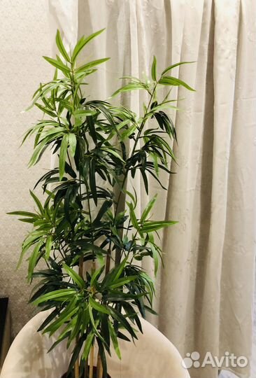 Комплект шторы тюль