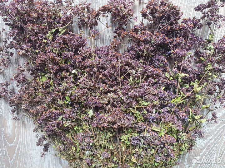 Травы для бани