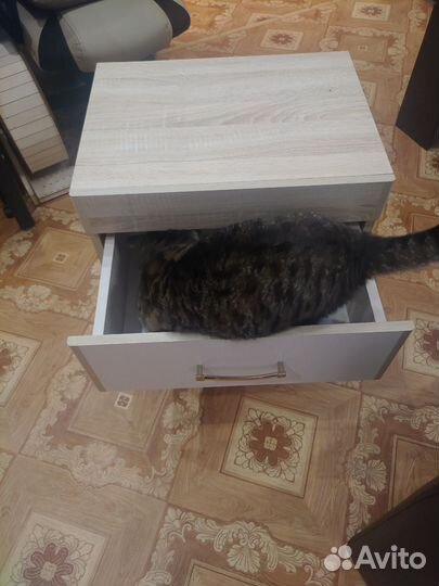 Тумба прикроватная закрытая Заречье Ника