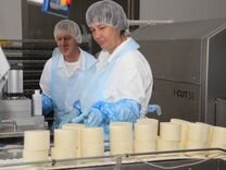 сернурский сырзавод директор. кошкинский маслосырзавод. работа сырзавод. работа сырзавод. работа сырзавод.