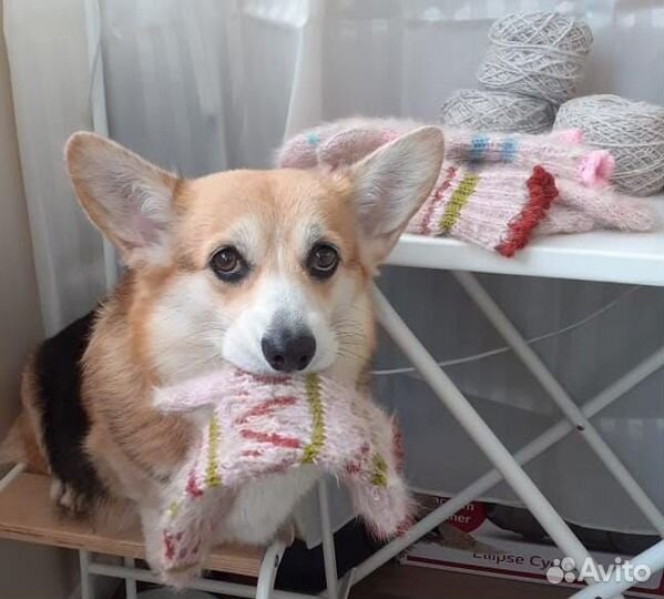 Носки вязаные мужские из собачьей шерсти