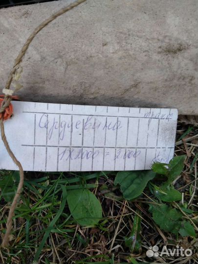 Сердцевина Радиатора новая кск 100 т150