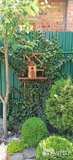 Скворечник