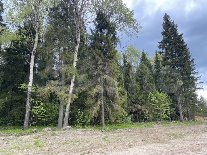 Участок 8,5 сот. (ИЖС)