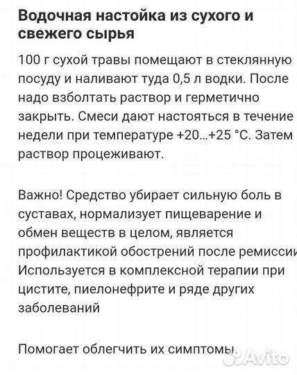 Лечебная трава Солерос