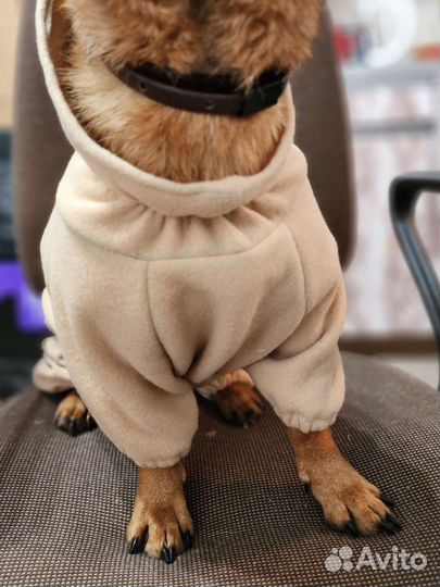 Пошив одежды для собак