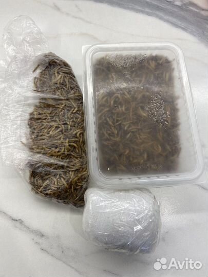 Корм для птиц