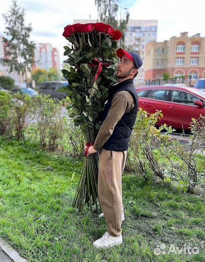 Высокие розы