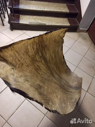 Кожа Гвинея, Мали и ремонт джембе