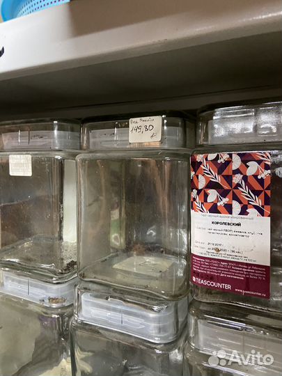 Банка стекло