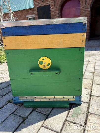 Улей на 10 рамок