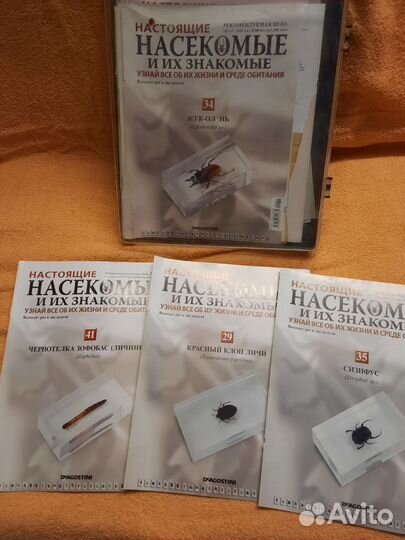 Насекомые и их знакомые