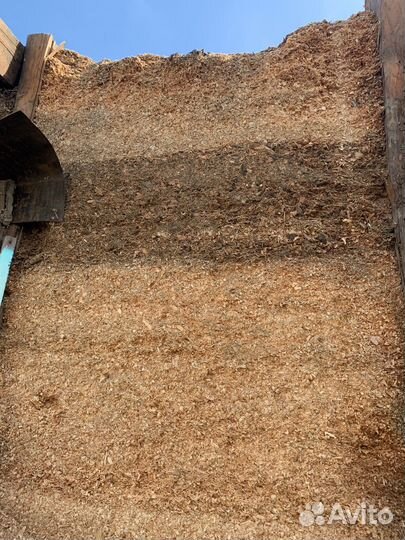 Отдам бесплатно опилки