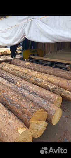 Рамщик можно с подрамщикомна ленточную пилораму