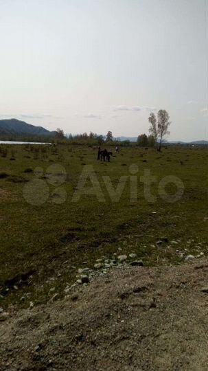 Участок 2 га (СНТ, ДНП)