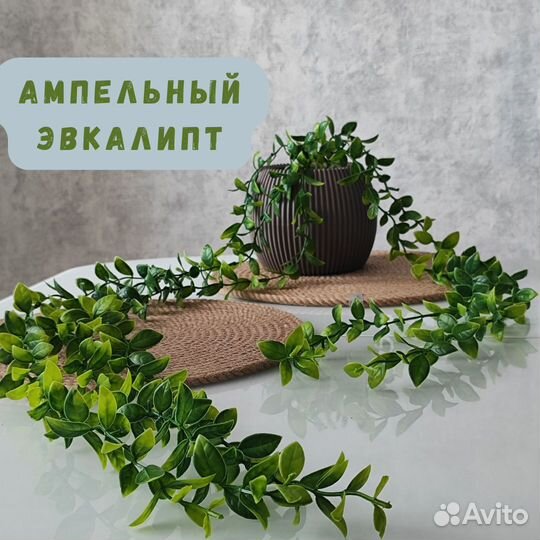 Свисающий эвкалипт/искусственная зелень/ декор