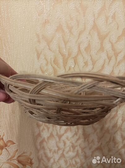 Набор ракушек