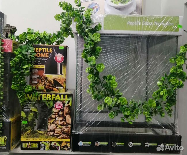 Террариум для рептилий и все необходимое