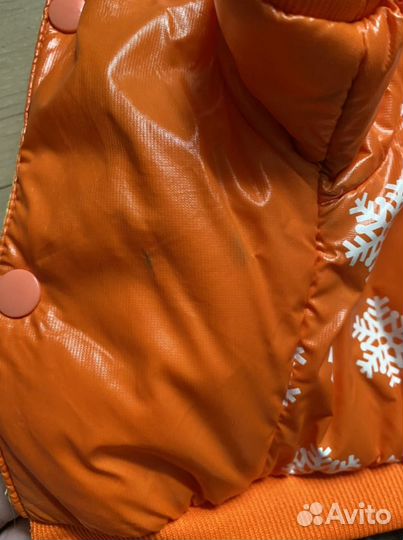 Комбинезон зимний для собаки