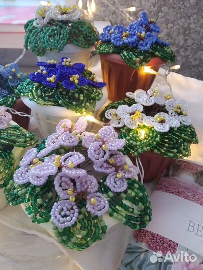 Фиалки продажа