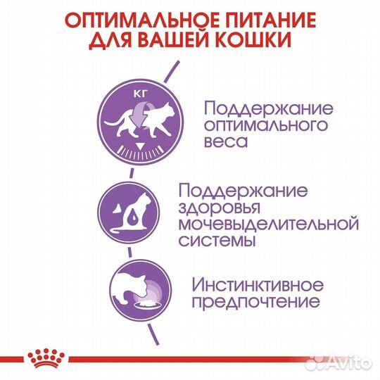Корм Royal Canin Роял Канин Sterilised в желе для
