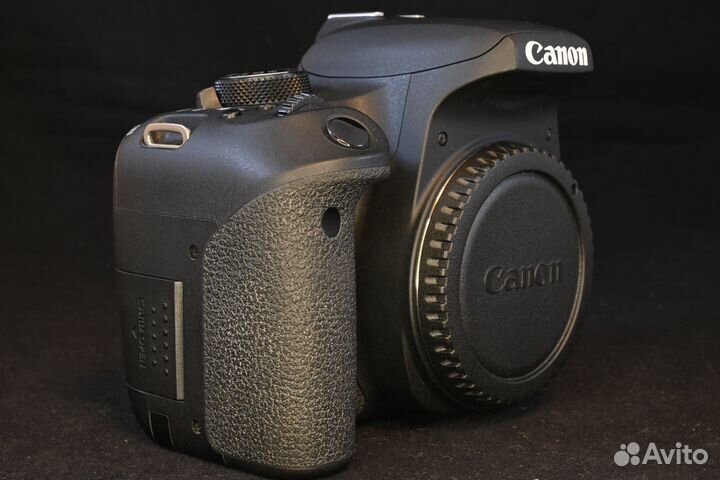 Canon eos 800d body