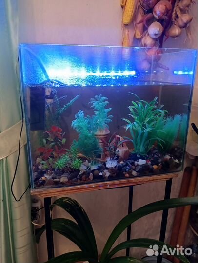 Аквариум с рыбками