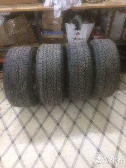 Pirelli P Zero 255/50 R19